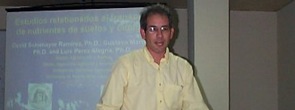 David Sotomayor